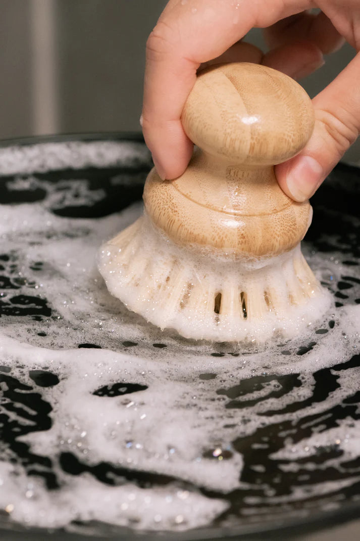 CASA AGAVE Dish Washing Brush