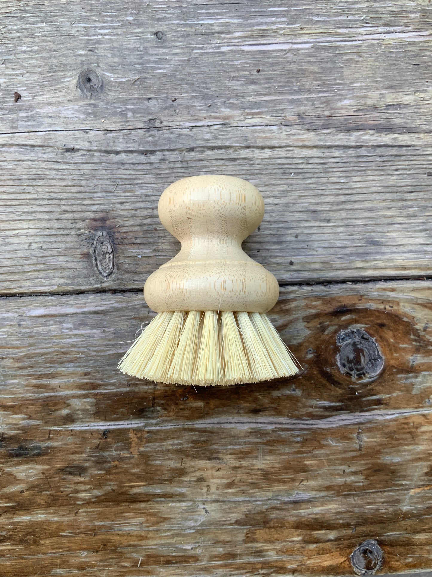 CASA AGAVE Dish Washing Brush